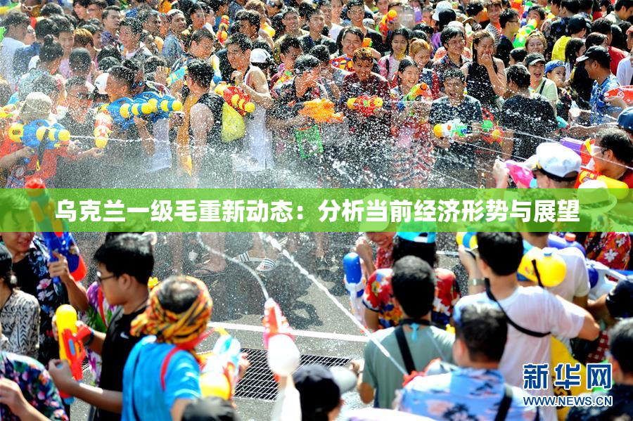 乌克兰一级毛重新动态：分析当前经济形势与展望