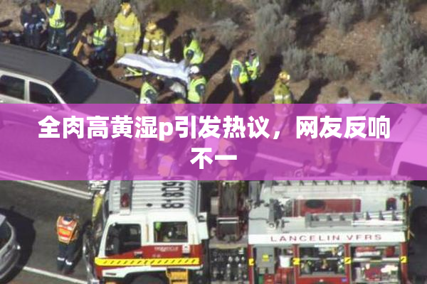 全肉高黄湿p引发热议，网友反响不一