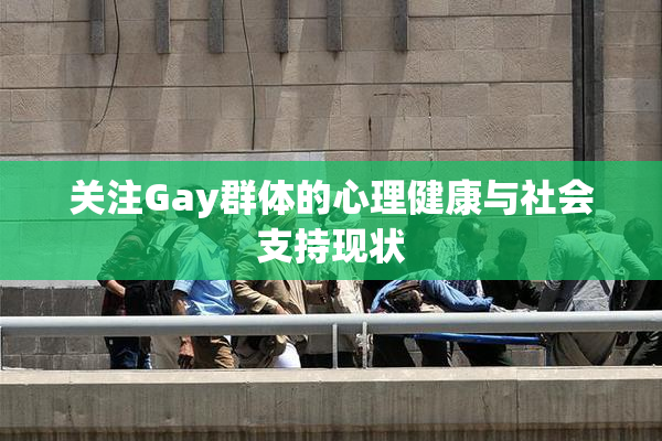 关注Gay群体的心理健康与社会支持现状