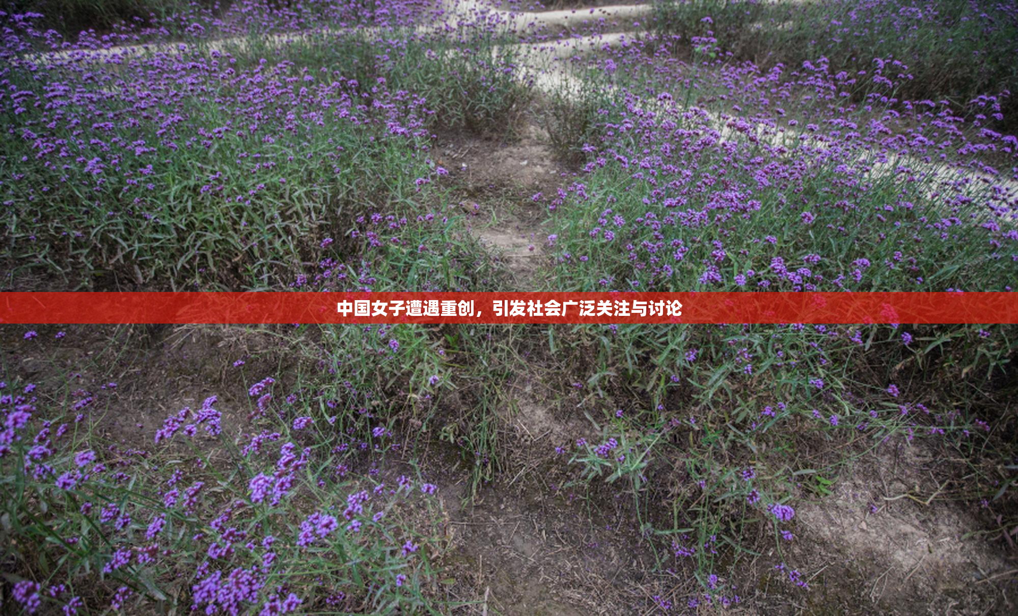 中国女子遭遇重创，引发社会广泛关注与讨论