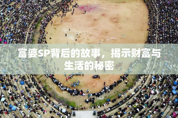 富婆SP背后的故事，揭示财富与生活的秘密
