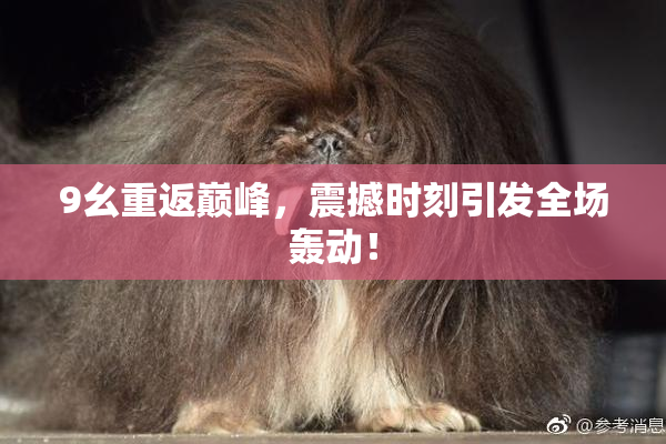 9幺重返巅峰，震撼时刻引发全场轰动！