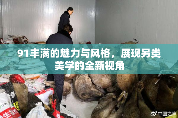 91丰满的魅力与风格，展现另类美学的全新视角