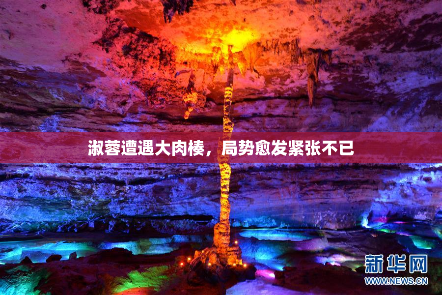 淑蓉遭遇大肉楱，局势愈发紧张不已