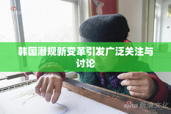 韩国潜规新变革引发广泛关注与讨论