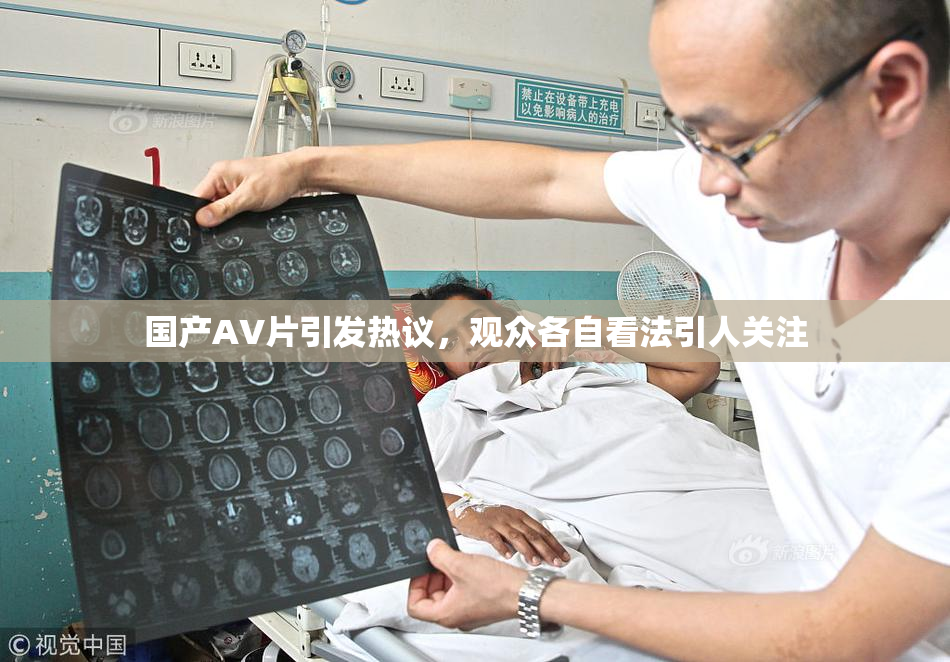 国产AV片引发热议，观众各自看法引人关注