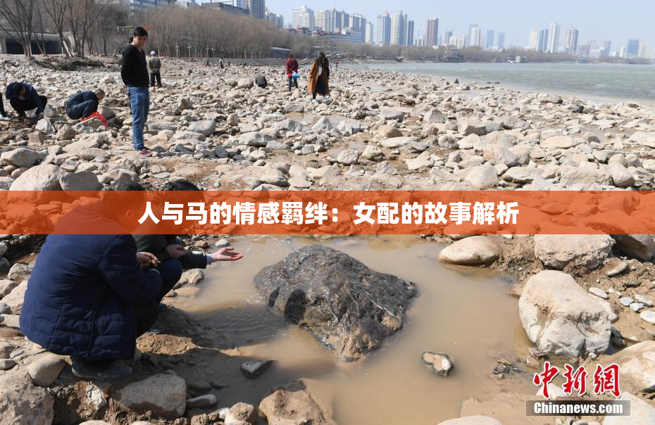 人与马的情感羁绊：女配的故事解析