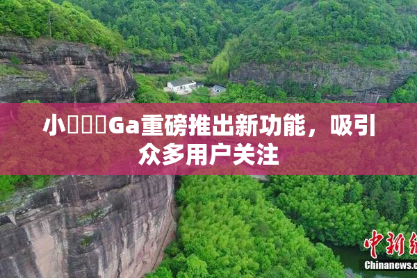 小藍視頻Ga重磅推出新功能，吸引众多用户关注