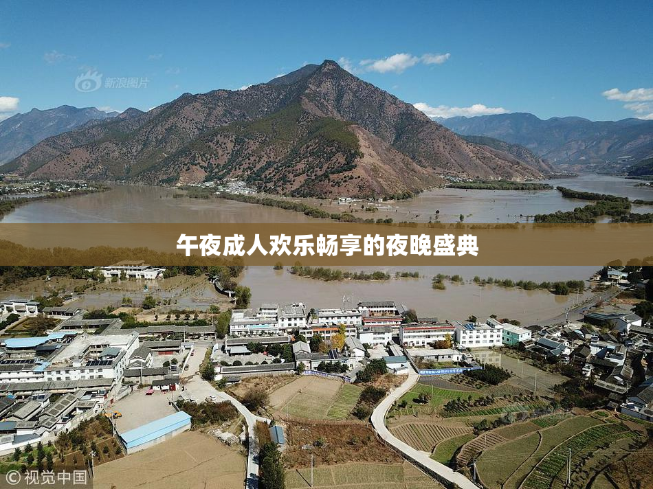午夜成人欢乐畅享的夜晚盛典