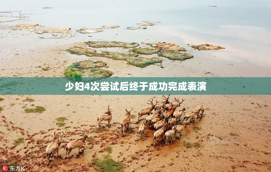 少妇4次尝试后终于成功完成表演
