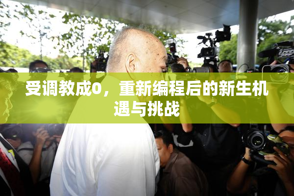 受调教成0，重新编程后的新生机遇与挑战