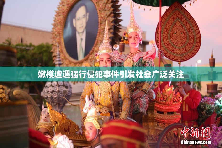 嫩模遭遇强行侵犯事件引发社会广泛关注