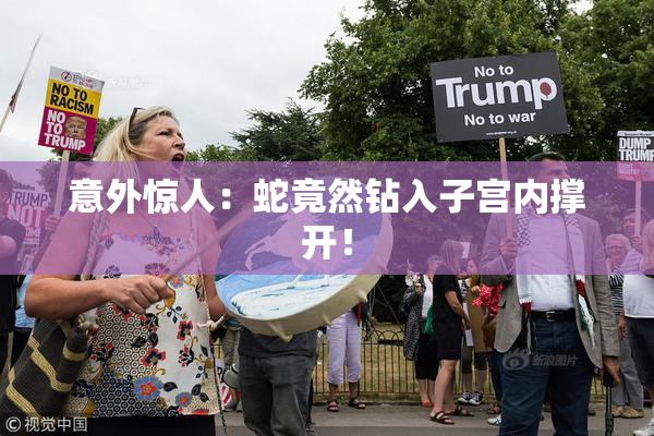 意外惊人：蛇竟然钻入子宫内撑开！