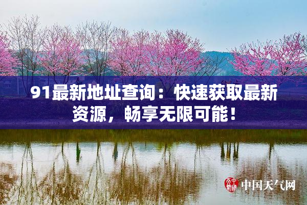 91最新地址查询：快速获取最新资源，畅享无限可能！