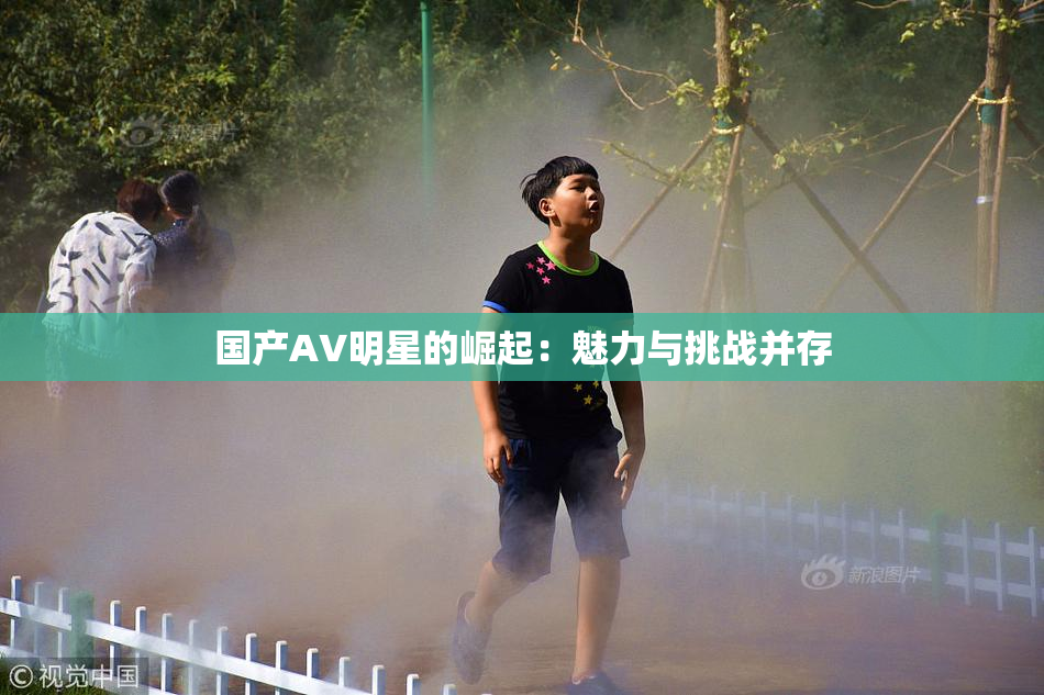 国产AV明星的崛起：魅力与挑战并存