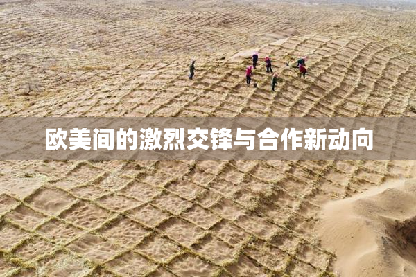 欧美间的激烈交锋与合作新动向