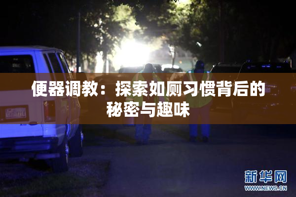 便器调教：探索如厕习惯背后的秘密与趣味