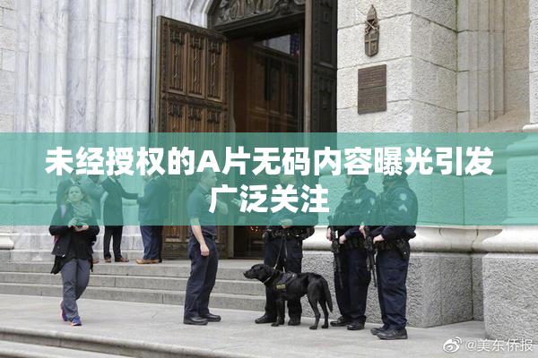 未经授权的A片无码内容曝光引发广泛关注