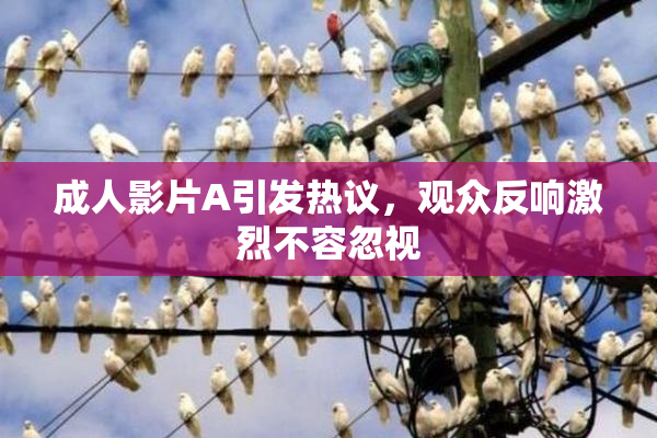 成人影片A引发热议，观众反响激烈不容忽视