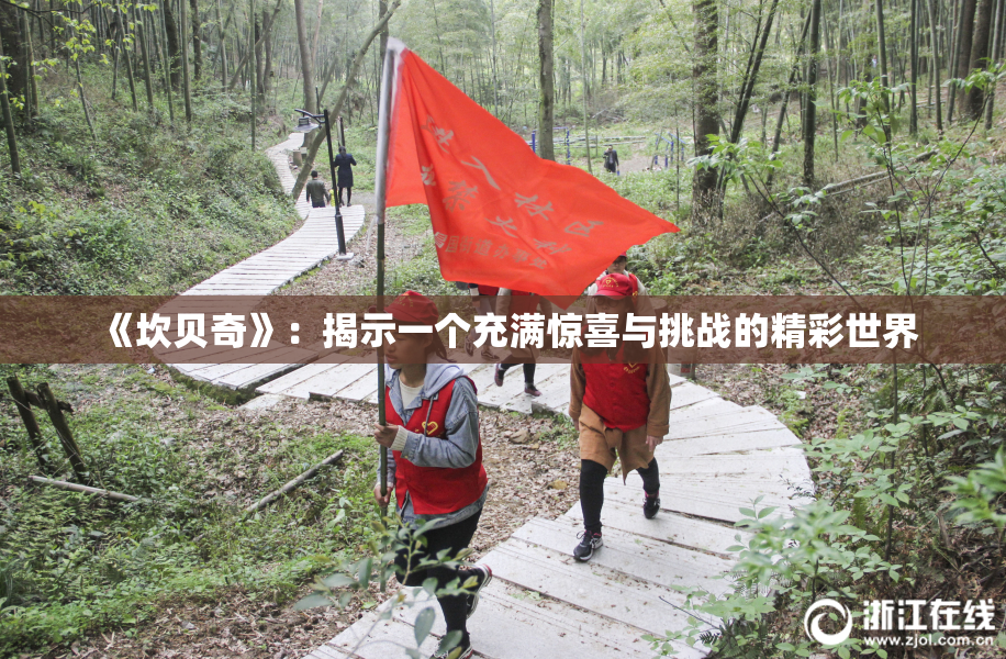 《坎贝奇》：揭示一个充满惊喜与挑战的精彩世界