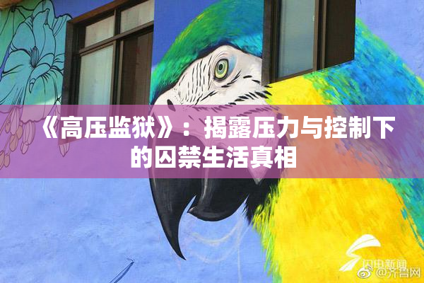 《高压监狱》：揭露压力与控制下的囚禁生活真相