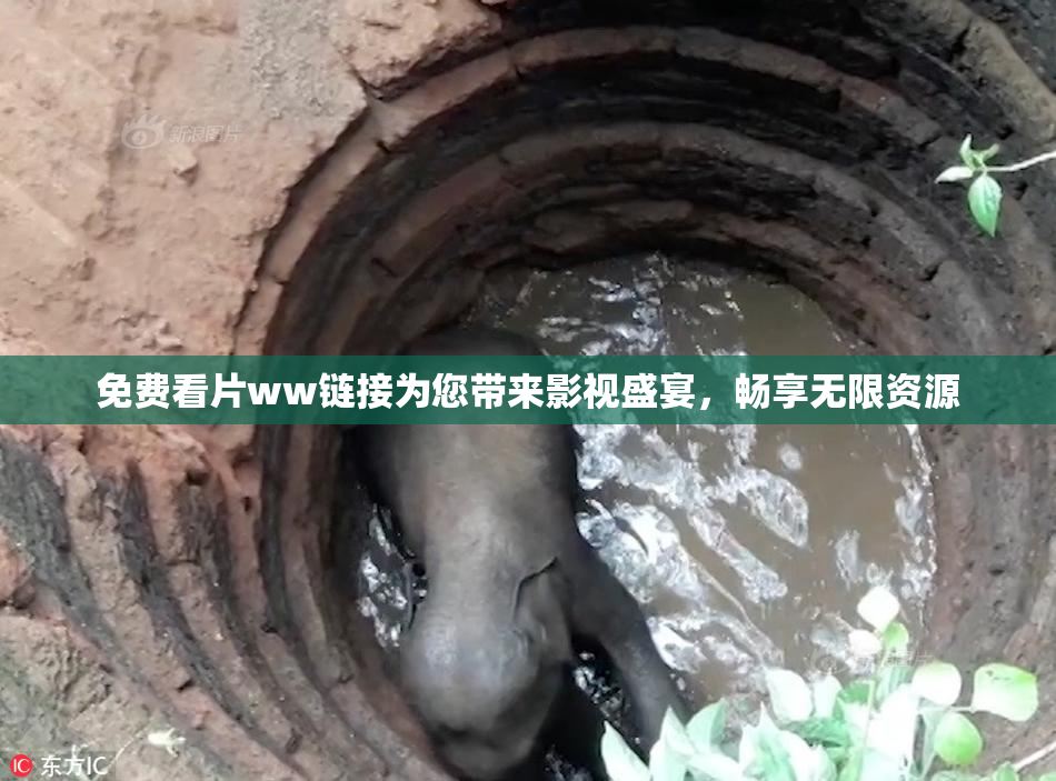 免费看片ww链接为您带来影视盛宴，畅享无限资源