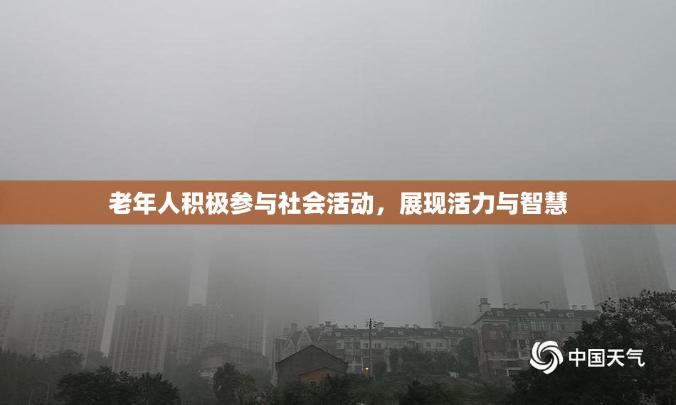 老年人积极参与社会活动，展现活力与智慧