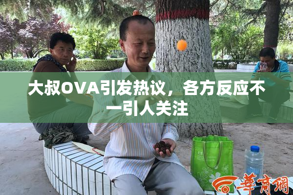 大叔OVA引发热议，各方反应不一引人关注