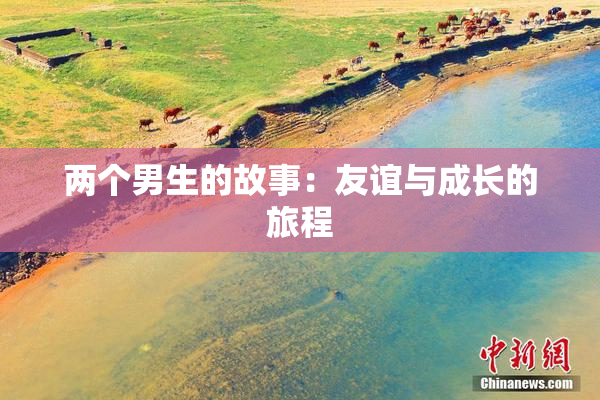 两个男生的故事：友谊与成长的旅程