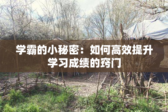 学霸的小秘密：如何高效提升学习成绩的窍门