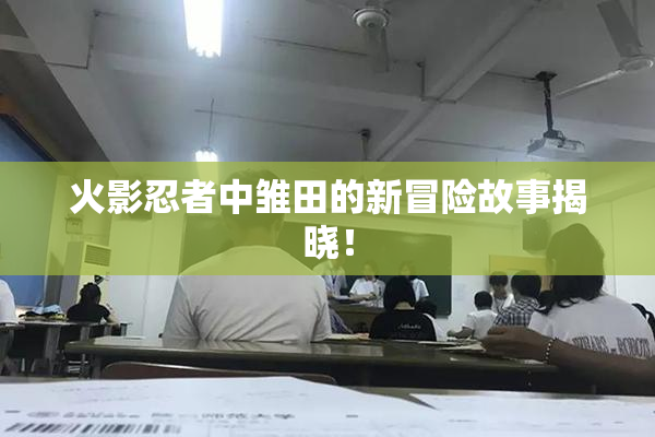 火影忍者中雏田的新冒险故事揭晓！