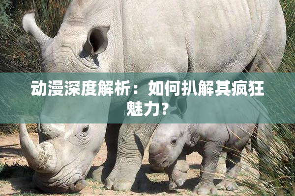 动漫深度解析：如何扒解其疯狂魅力？