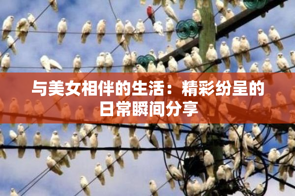 与美女相伴的生活：精彩纷呈的日常瞬间分享