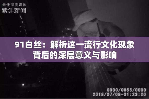 91白丝：解析这一流行文化现象背后的深层意义与影响