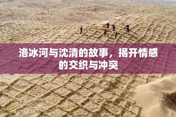 洛冰河与沈清的故事，揭开情感的交织与冲突