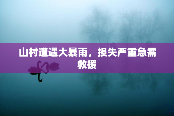 山村遭遇大暴雨，损失严重急需救援