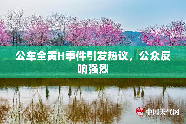 公车全黄H事件引发热议，公众反响强烈