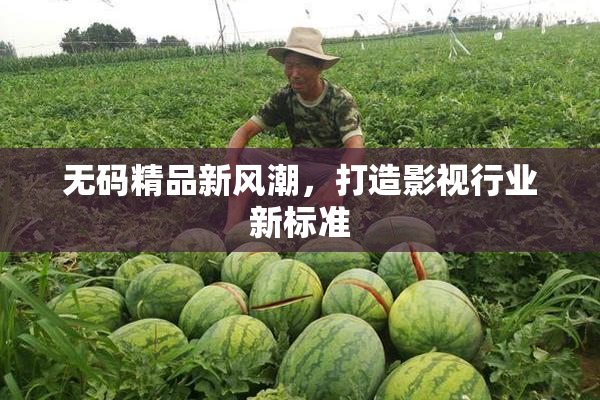 无码精品新风潮，打造影视行业新标准