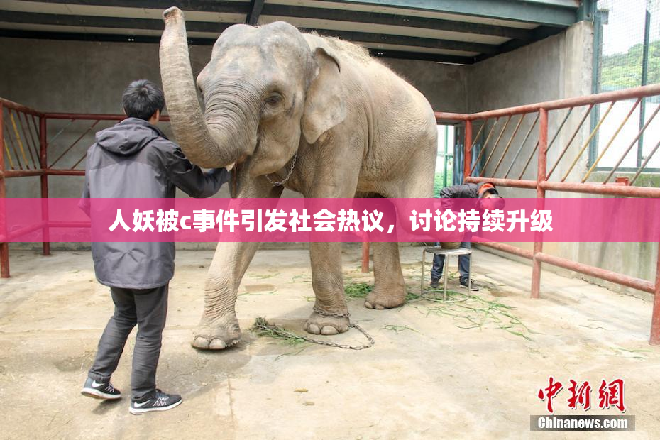 人妖被c事件引发社会热议，讨论持续升级