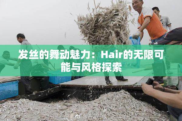 发丝的舞动魅力：Hair的无限可能与风格探索