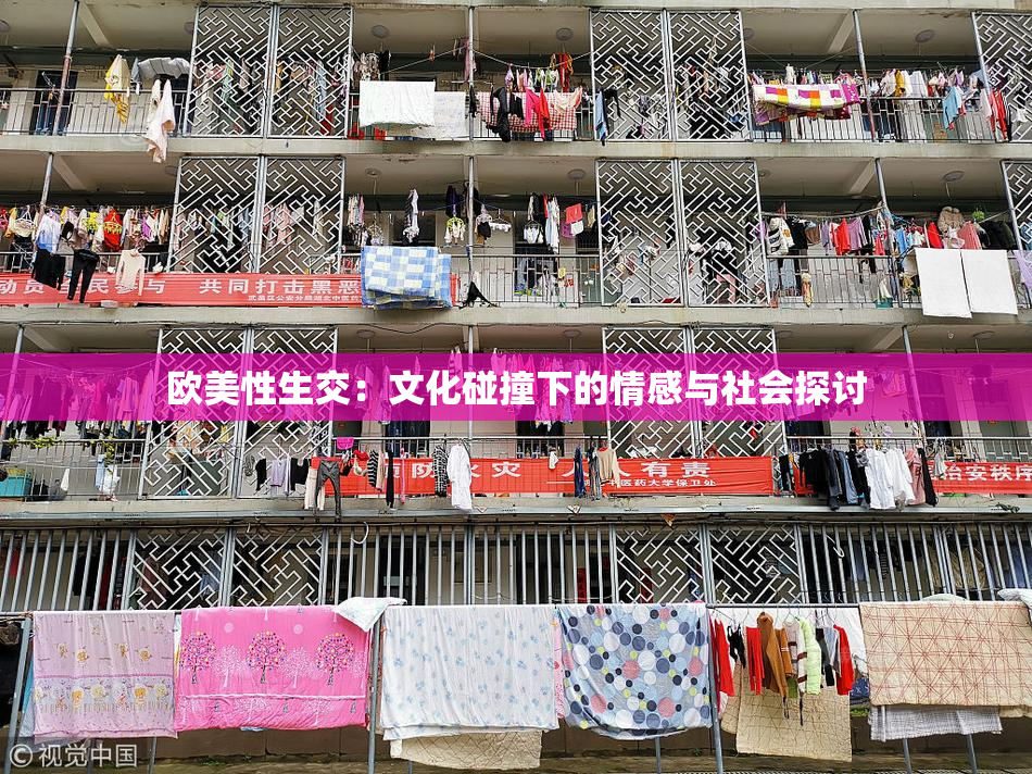 欧美性生交：文化碰撞下的情感与社会探讨