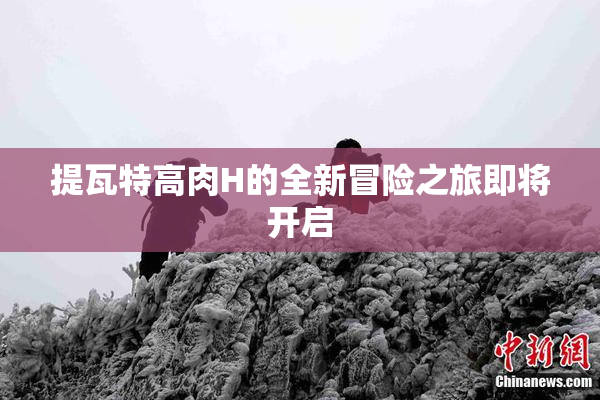提瓦特高肉H的全新冒险之旅即将开启