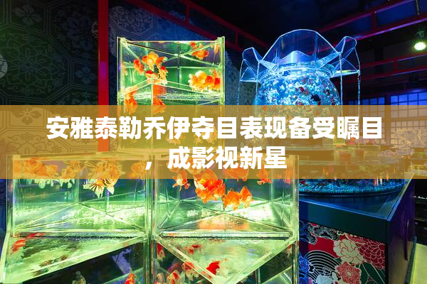 安雅泰勒乔伊夺目表现备受瞩目，成影视新星