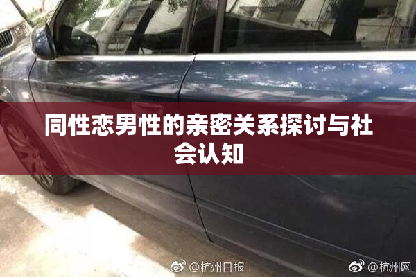 同性恋男性的亲密关系探讨与社会认知