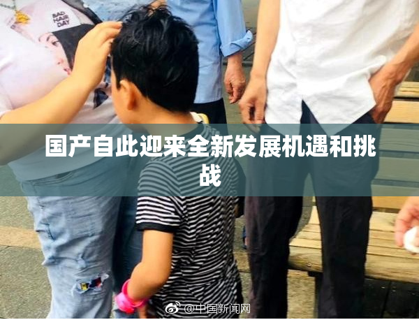 国产自此迎来全新发展机遇和挑战