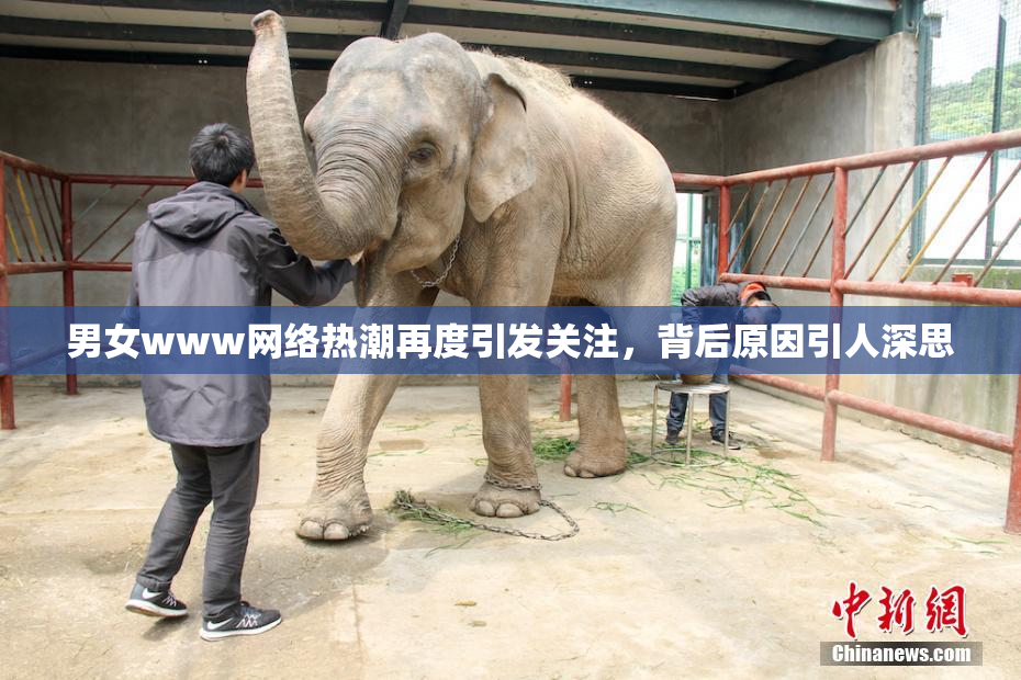 男女www网络热潮再度引发关注，背后原因引人深思