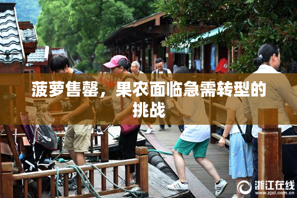 菠萝售罄，果农面临急需转型的挑战