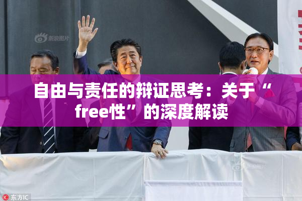 自由与责任的辩证思考：关于“free性”的深度解读
