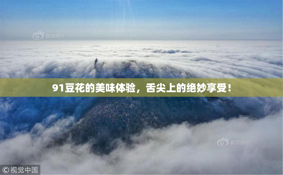 91豆花的美味体验，舌尖上的绝妙享受！
