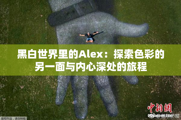 黑白世界里的Alex：探索色彩的另一面与内心深处的旅程